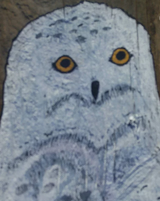 20180920_162024.png
