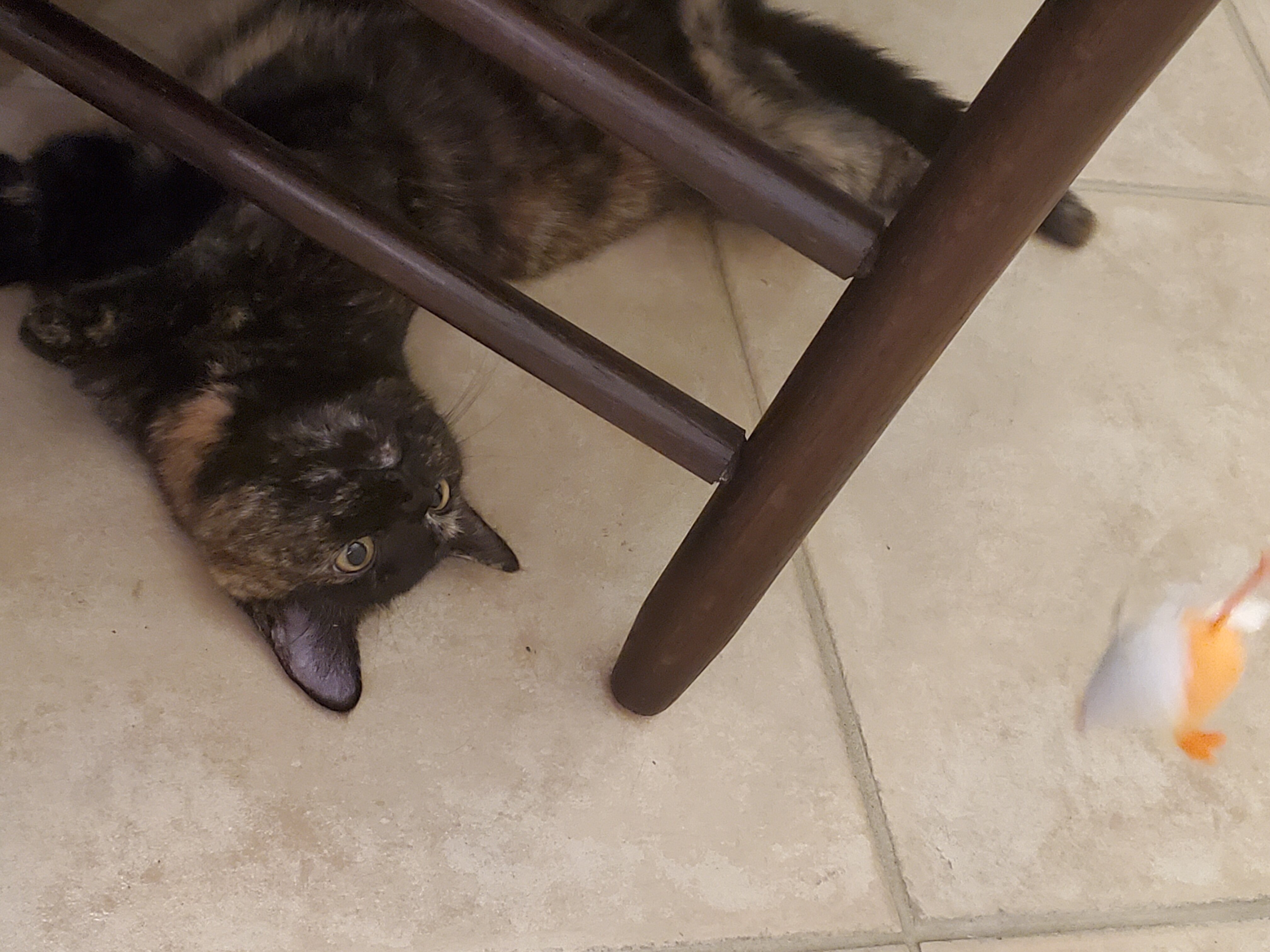 20220131_161957.jpg