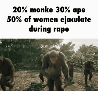 20monky_un.gif