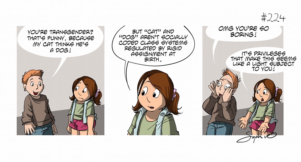 224.jpg