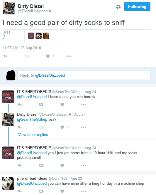 24.PNG
