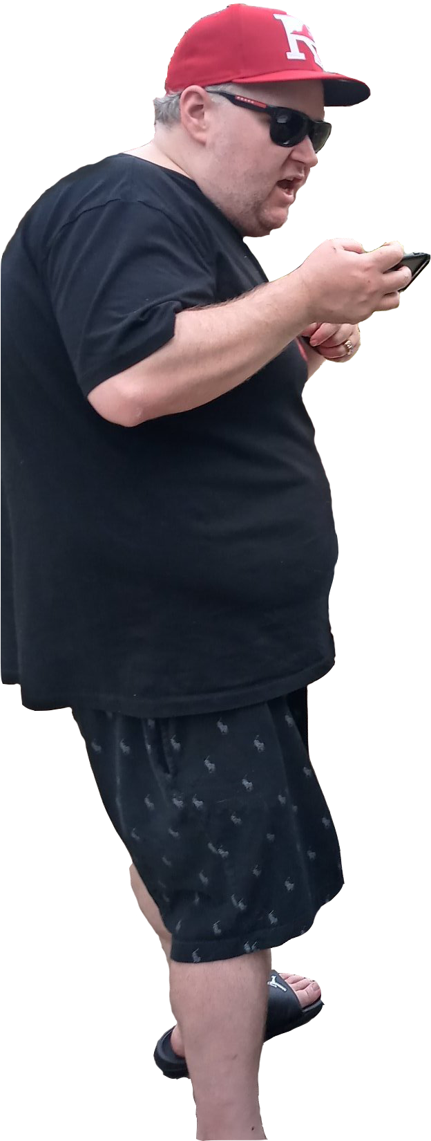 25866.png