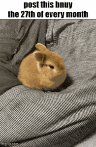 27th.gif
