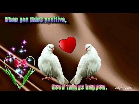 2D9C7738-9930-43CE-8291-29841C66D00A.jpeg