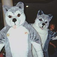 2husky.jpg