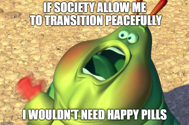 2n6j9t.jpg