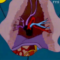 2NgO.gif