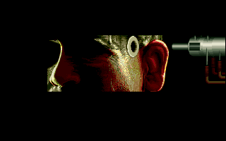 30.png