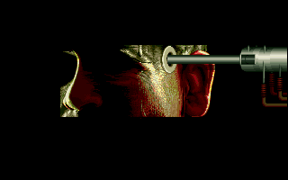 31.png