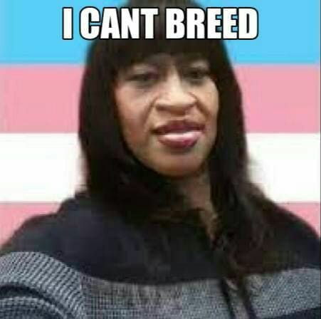 329.jpg
