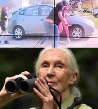 358.jpg
