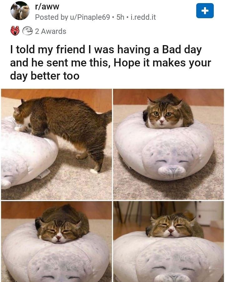 39CA7749-5069-491F-BBAF-243BF6D767DF.jpeg