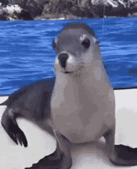3d9.gif