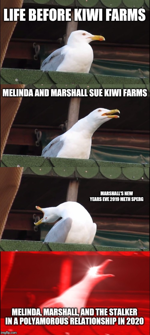 3lnn2q.jpg