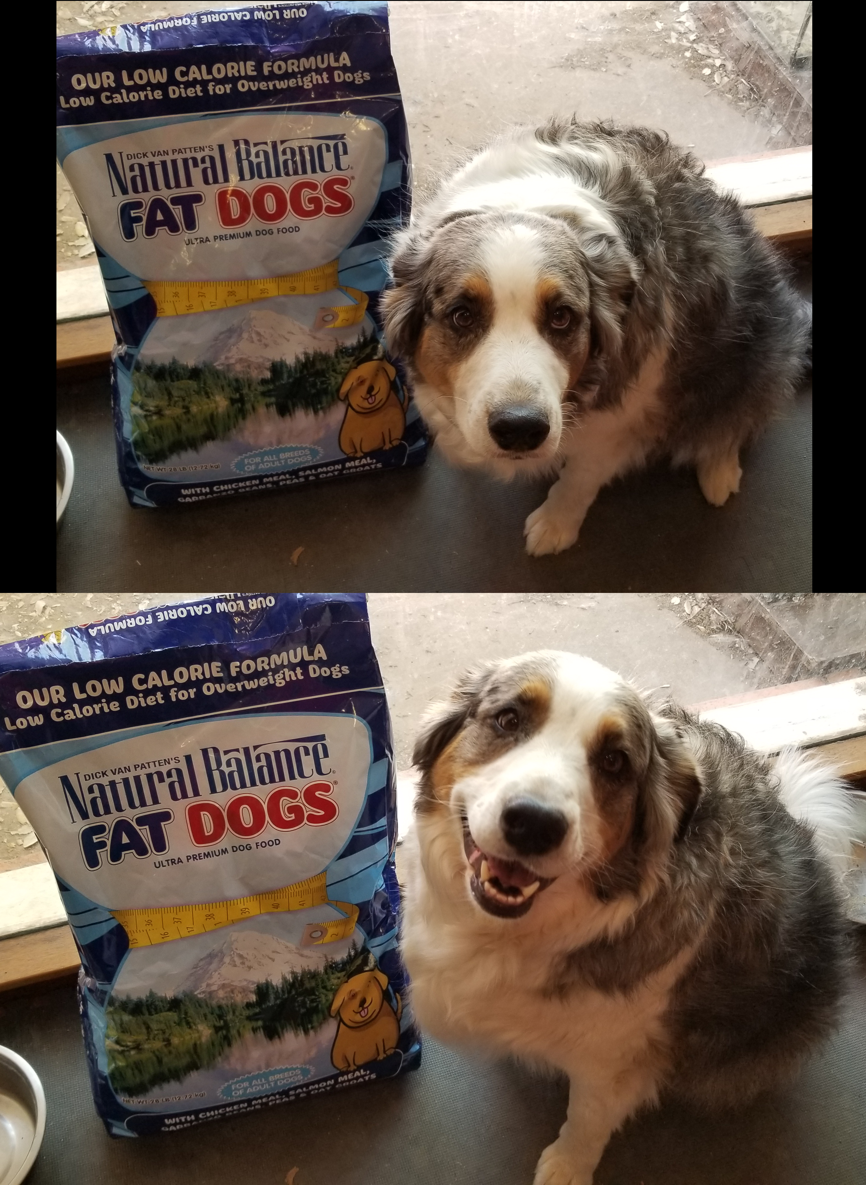 3uugfszlhbx01.png