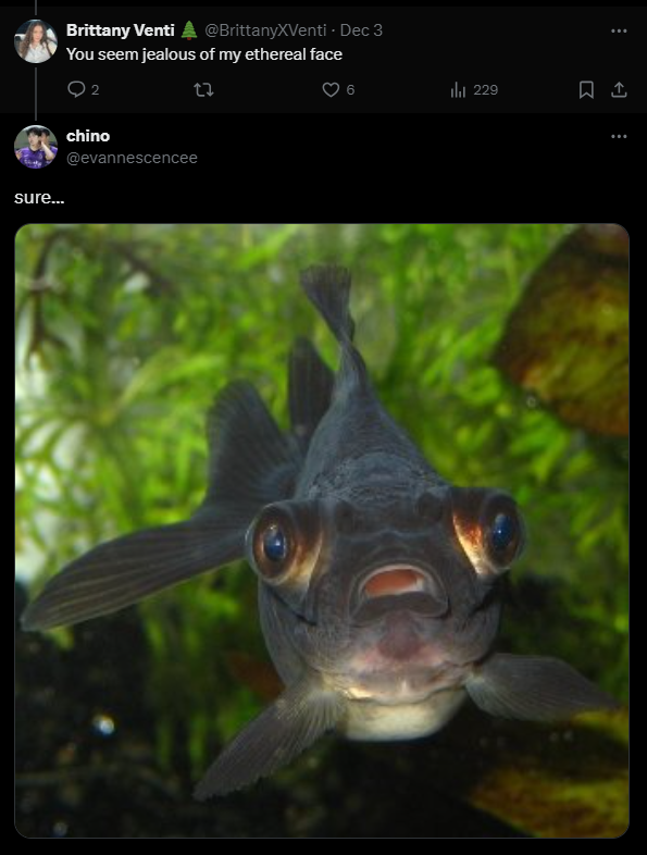 (4).png