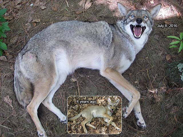 400.jpg