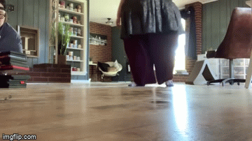 411v6a-1-gif.1287570