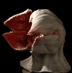 412124j124.gif