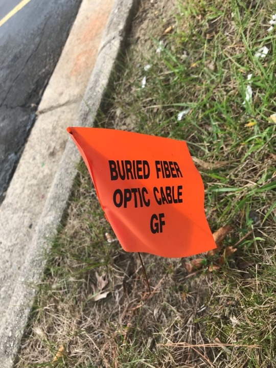 413020d36bfb7035.png