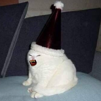 41647.jpg