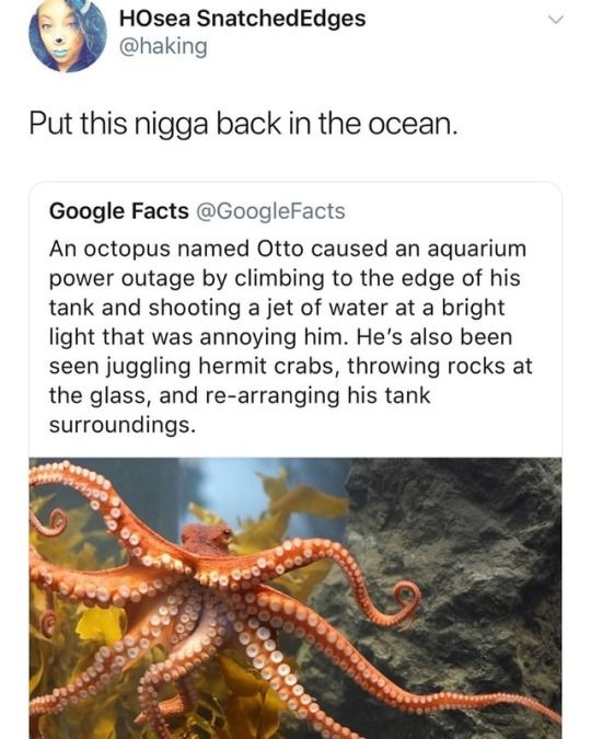 41e4f02175d583c4d43da12440486ae2.jpg