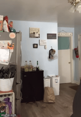 42563m.gif