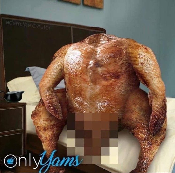 43.jpg
