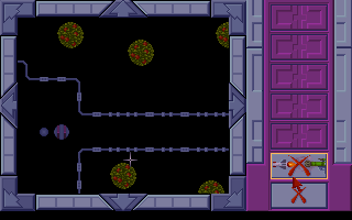 43.png