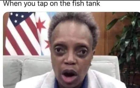 430.jpg