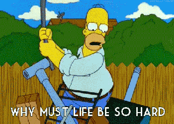 4327632.gif