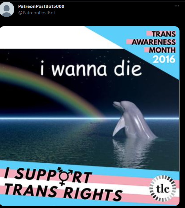 44 dolphin.png