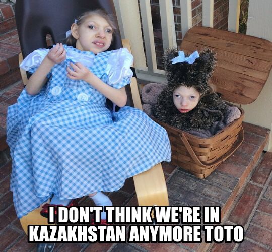 452.jpg