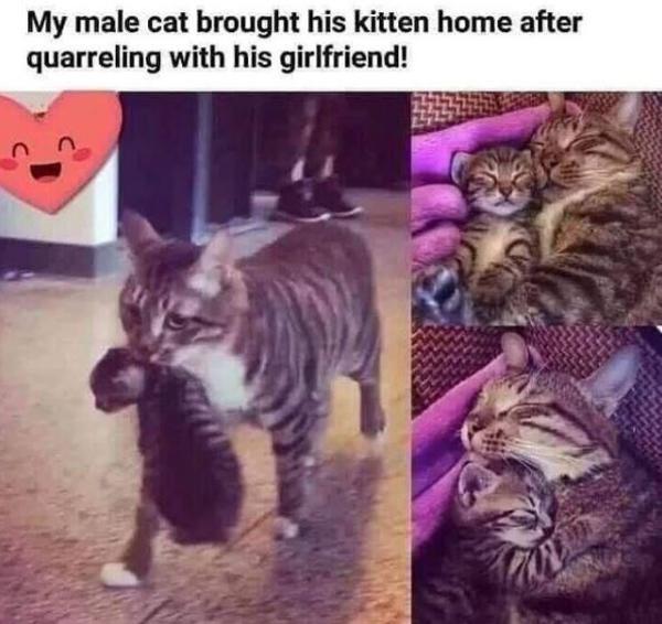 459catdad.jpg