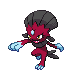 804254