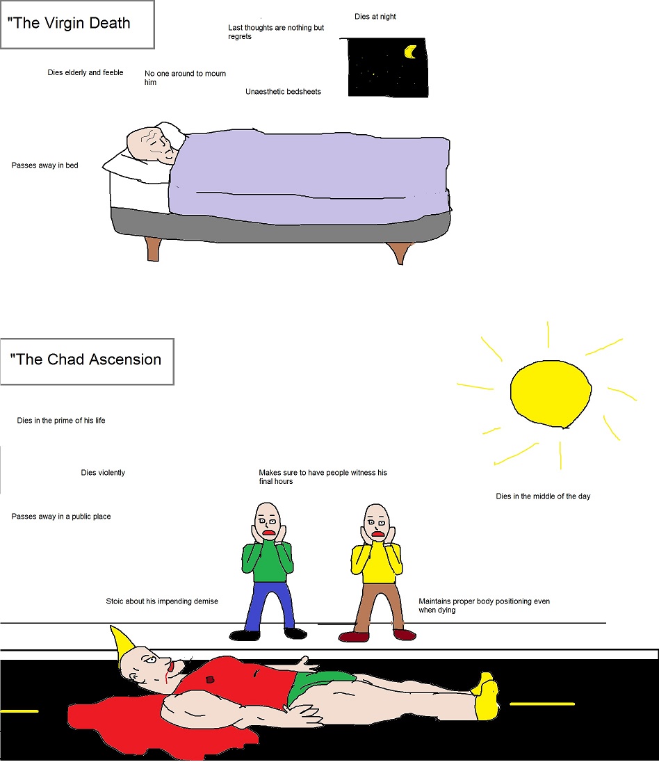 465.jpg
