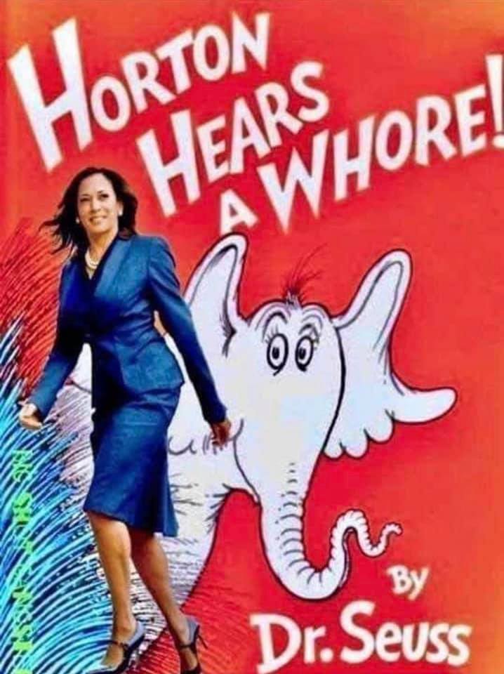 466.jpg