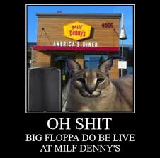 4D78C184-5F59-44AF-AF05-E76A1C45A8E2.jpeg