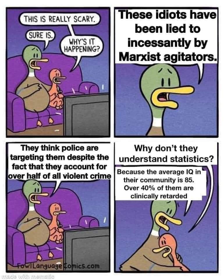 502.jpg