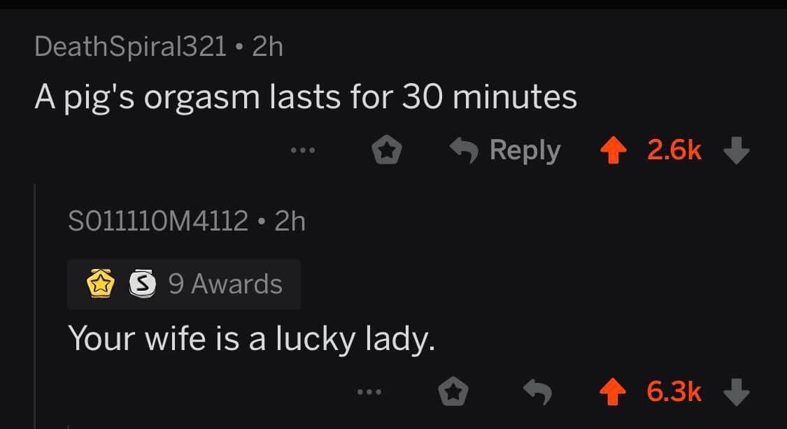 518.jpg