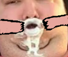 5433455.png