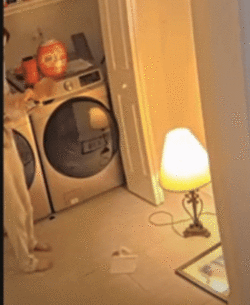 5773863-82ae37c879a39ee6096fb775b2f2a1b0.gif