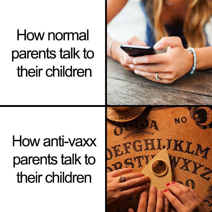 586.jpg