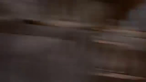 59.gif