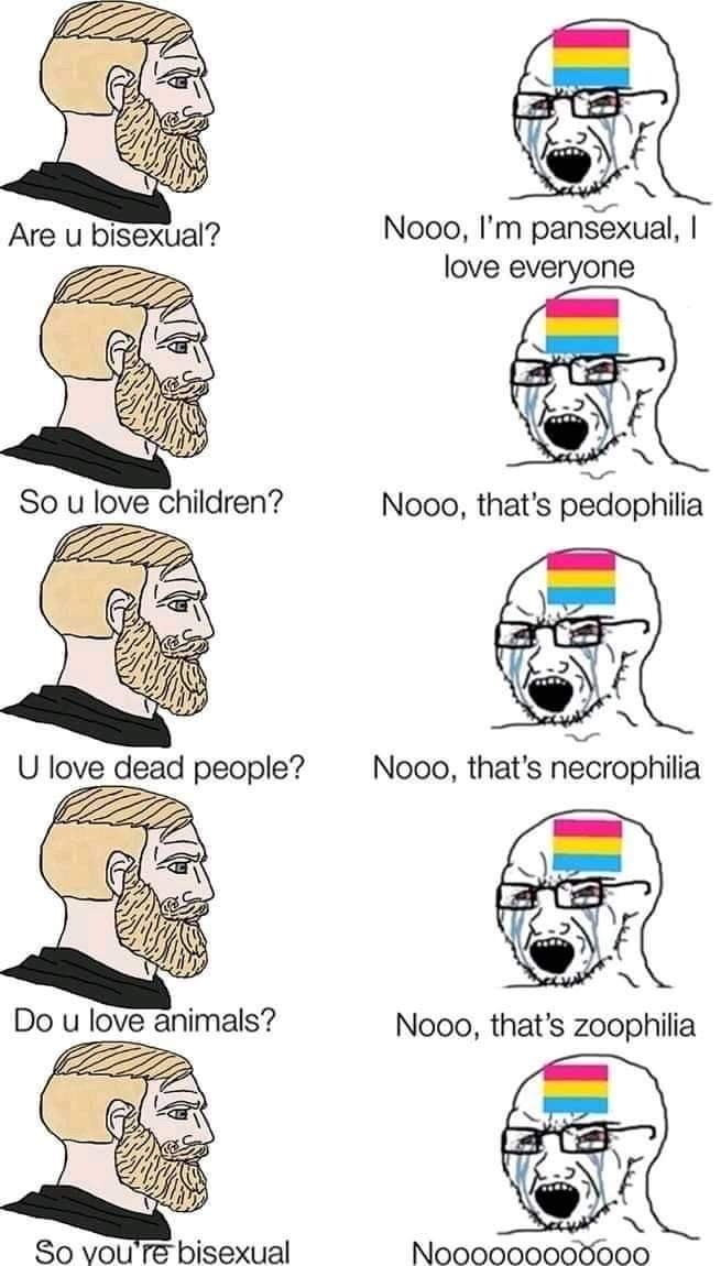 5f311f7a9af8d.jpeg