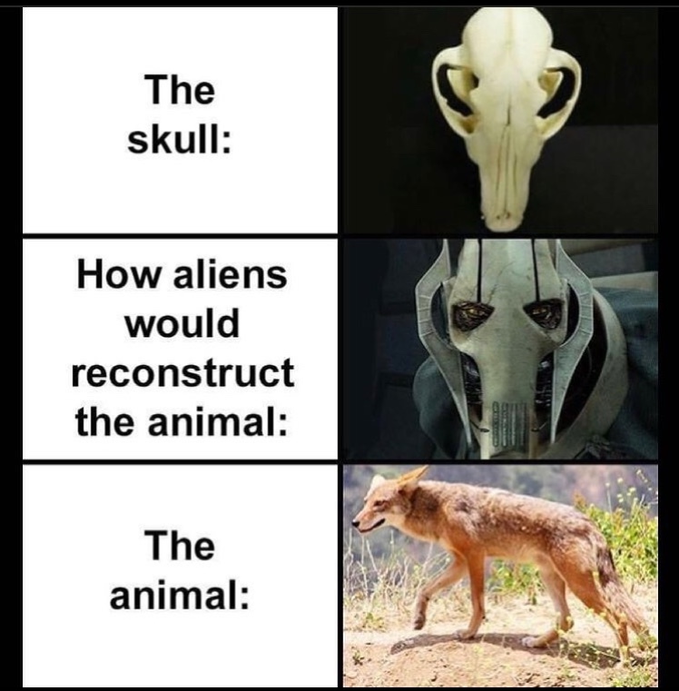 608843a5db296.jpeg