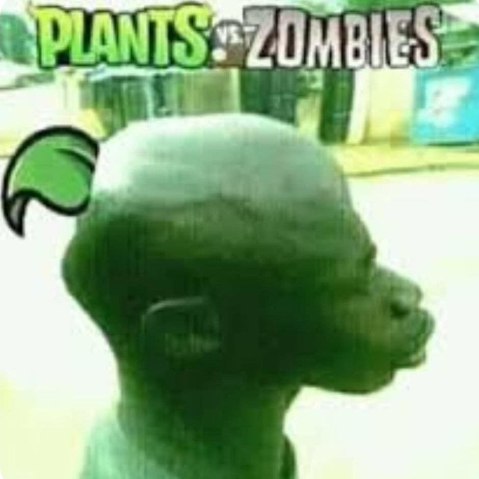 60c5b6c.jpg