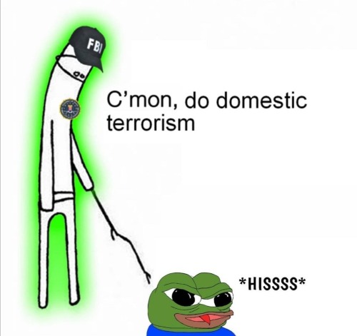 6576.jpg