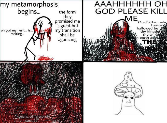 66f.jpg
