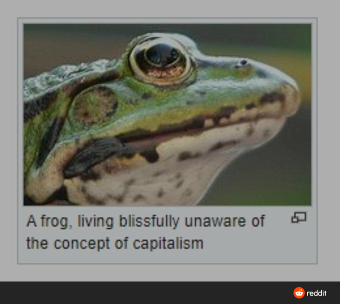6fc0d0f.png